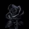dark black