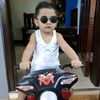 mafie.rolan