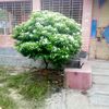 user2887224888349