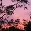 red.cloud19