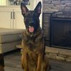 ppdnorthalabama