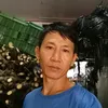 phuc.phan765