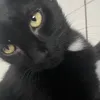 aiyna_2025