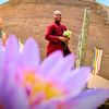 dhamma.buddhi