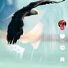 kartal82527