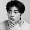 bts.....army24