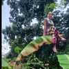 kurumatani.xx