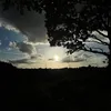 philip_w8