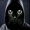 fros_cat_cool