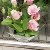 la.rosa.rossa7