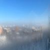 randomyeg