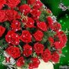 user7041178746531