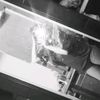 hend.ahmad4