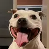 mushygushy365
