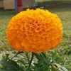 noor.ktk5