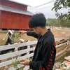 the_vinh27