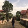 zeldapurnamasulistio