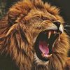 arshath.kamal4