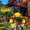 dev.sundar.mandal0