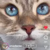 user94240790053347
