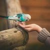 arham.ali6997