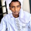 hassan.dadi.allaf