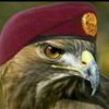 abdullah.a1403