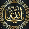 ediz232323