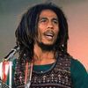 rastathytoo