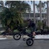 mwheels6
