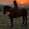 tixyandhorses