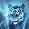 user83523802141367