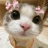 wanitamuu96