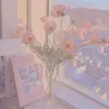 user198852174916