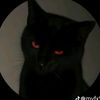 hamid.nayebi