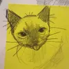 meooowwkkiii