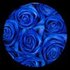 user9570414114306