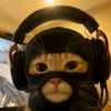 bluemel0dii