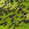 visit.botswana