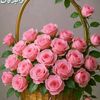 user2229900923619