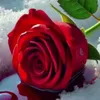 le.anh5868