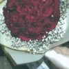 enjymohamed91