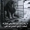 user92201600292528