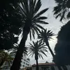 yitzhak_110