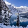adrian.vasile77