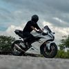 meraj_29x