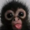 amandkea4un