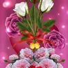 user9681149811342