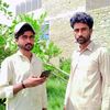 mudassar4352