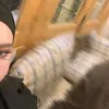 fat__520